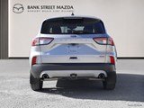 2022 Ford Escape SEL Hybrid image 4