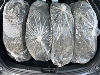 2019 Mazda CX-5 GS Auto FWD