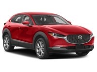 2025 Mazda CX-30 GS AWD Exterior Shot 8
