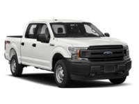 2020 Ford F-150 XL 4WD SuperCrew 6.5' Box Exterior Shot 9