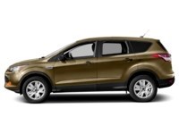2015 Ford Escape 4WD 4dr SE Karat Gold  Shot 11