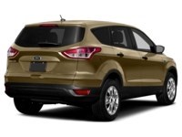 2015 Ford Escape 4WD 4dr SE Karat Gold  Shot 8