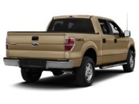 2013 Ford F-150 4WD SuperCrew 145" XLT Pale Adobe Metallic  Shot 24