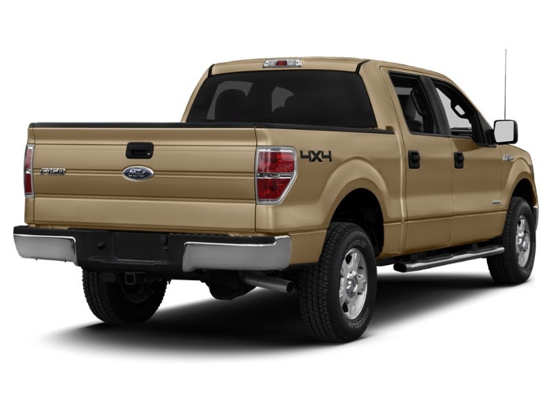 2013 Ford F-150 4WD SuperCrew 145" XLT Pale Adobe Metallic  Shot 20