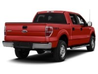 2013 Ford F-150 4WD SuperCrew 145" XLT Ruby Red Tinted Clearcoat  Shot 42