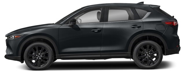 Jet Black Mica [Black]