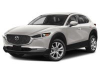 2023 Mazda CX-30 GS AWD Platinum Quartz Metallic  Shot 27