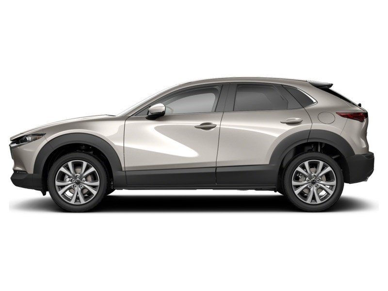 2024 Mazda CX-30 GS AWD Platinum Quartz Metallic  Shot 29