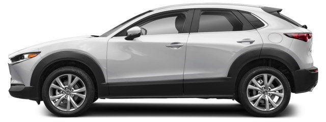 Ceramic Metallic [Silver]