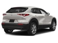 2023 Mazda CX-30 GS AWD Platinum Quartz Metallic  Shot 32