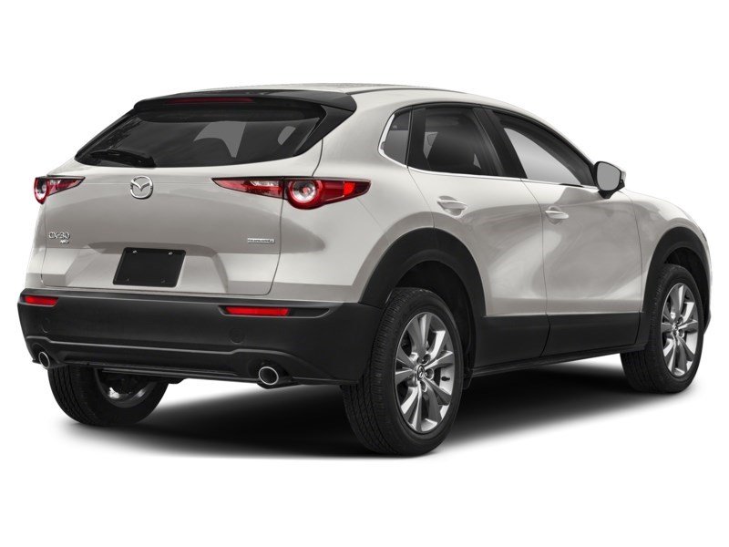 2023 Mazda CX-30 GS AWD Platinum Quartz Metallic  Shot 28