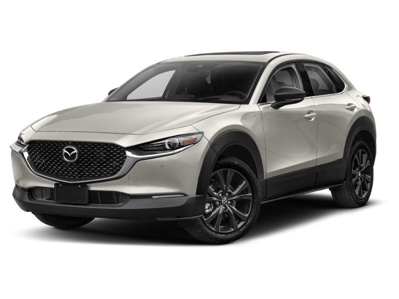 2023 Mazda CX-30 GT w/Turbo AWD Platinum Quartz Metallic  Shot 36