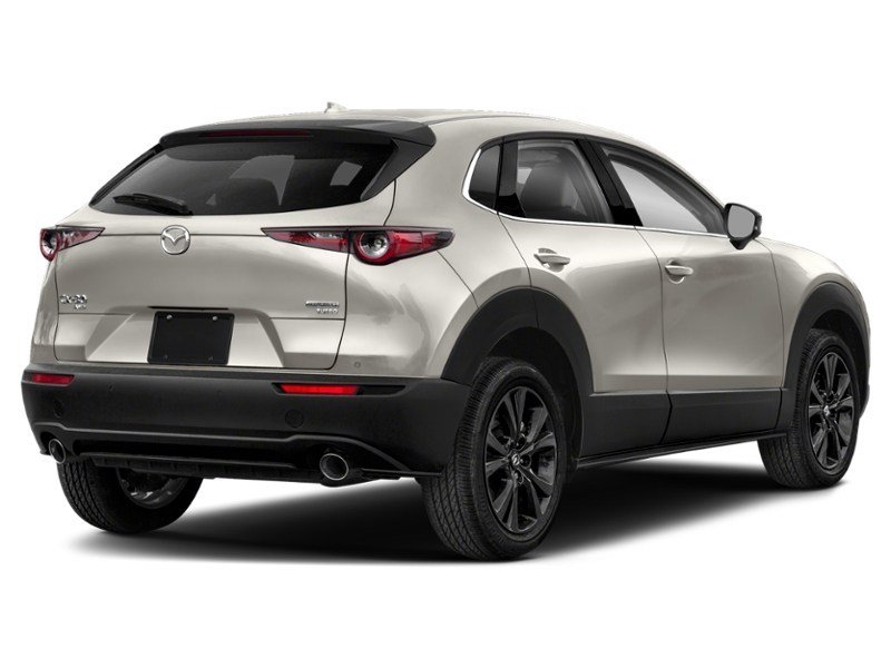 2023 Mazda CX-30 GT w/Turbo AWD Platinum Quartz Metallic  Shot 38