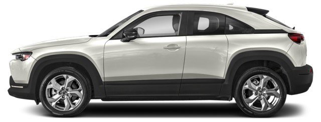 Arctic White [White]