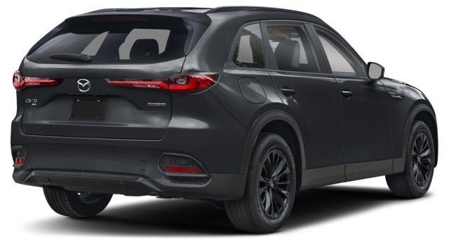 Jet Black Mica [Black]