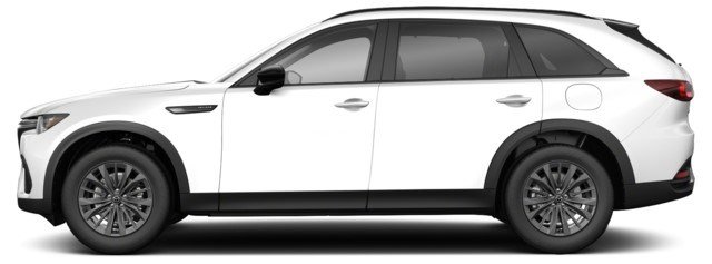 Jet Black Mica [Black]
