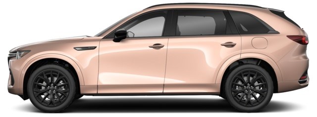 Jet Black Mica [Black]