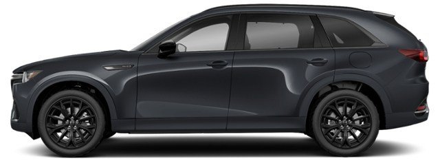 Jet Black Mica [Black]