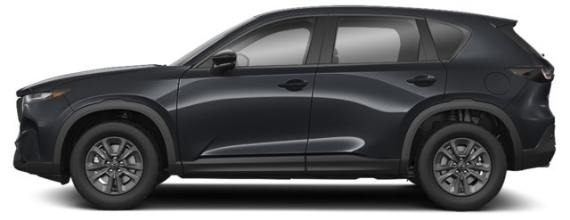 Jet Black Mica [Black]