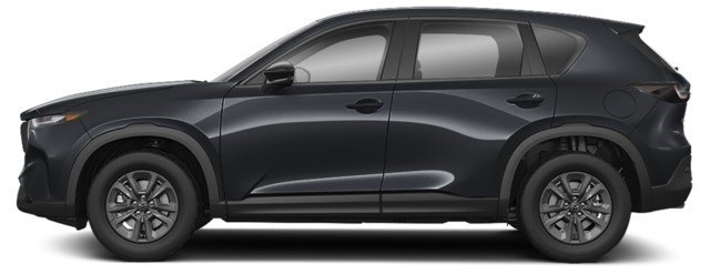 Jet Black Mica [Black]