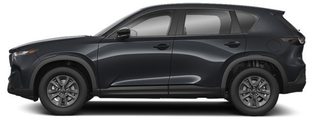 Jet Black Mica [Black]