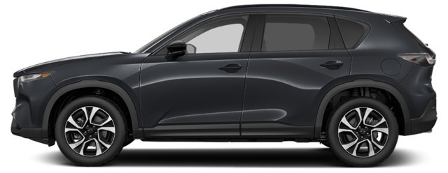 Jet Black Mica [Black]