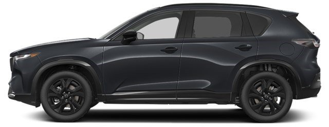 Jet Black Mica [Black]