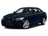 2015 BMW 228 2dr Cpe 228i RWD Deep Sea Blue Metallic  Shot 28