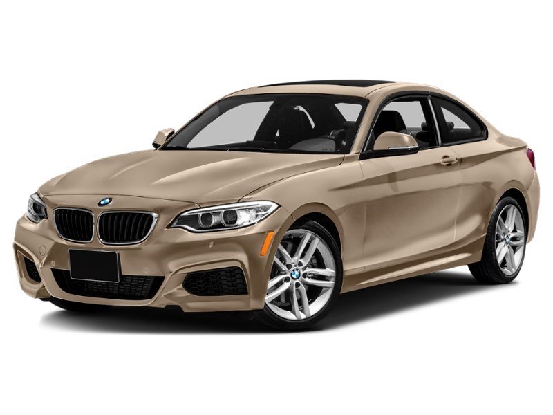 2015 BMW 228 2dr Cpe 228i RWD Moonlight Silver Metallic  Shot 76