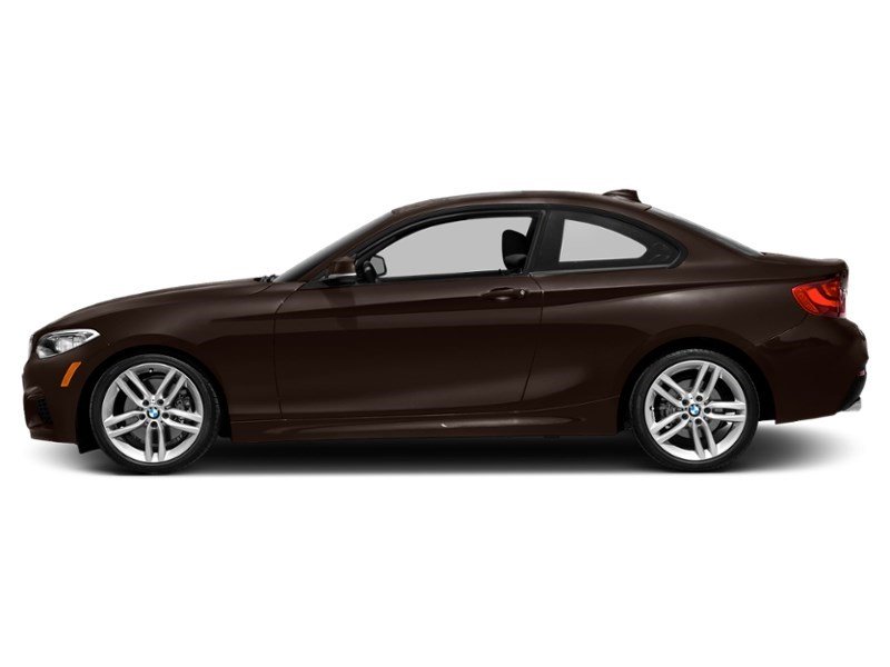 2015 BMW 228 2dr Cpe 228i RWD Sparkling Brown Metallic  Shot 69
