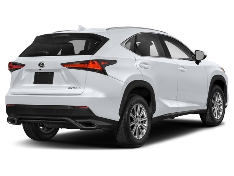 2019 Lexus NX 300 NX 300 Auto