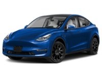 2024 Tesla Model Y Long Range AWD Deep Blue Metallic  Shot 10
