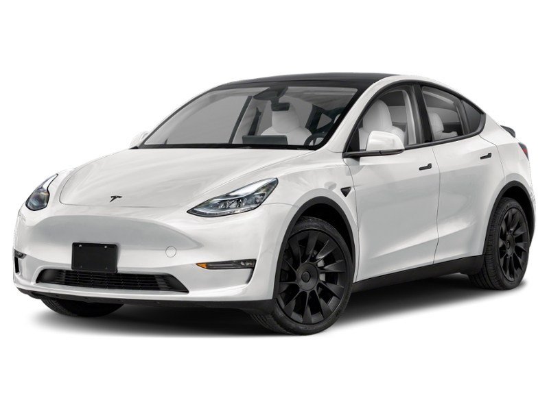 2024 Tesla Model Y Long Range AWD Pearl White Multi-Coat  Shot 29
