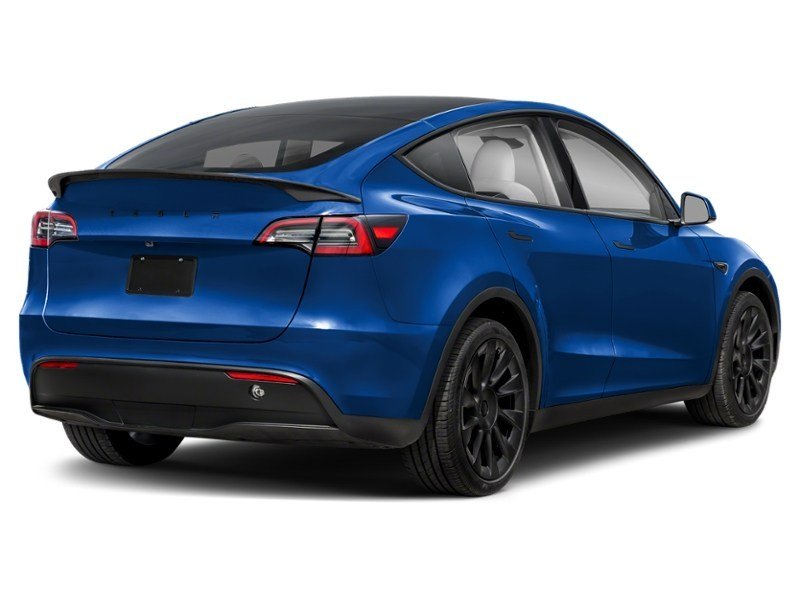 2024 Tesla Model Y Long Range AWD Deep Blue Metallic  Shot 8