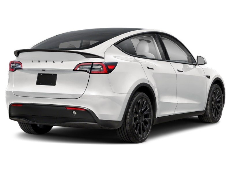 2024 Tesla Model Y Long Range AWD Pearl White Multi-Coat  Shot 27